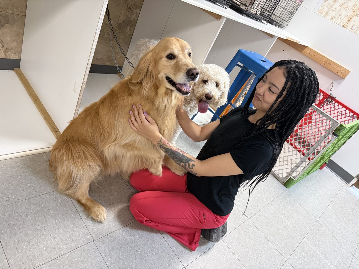Jasmin, groomer at Global Pawdicure Palace.