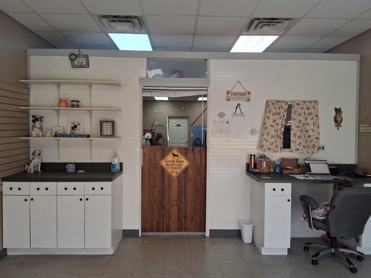 Interior of the Global Pawdicure Palace studio with the front counter and grooming area.